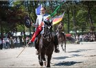 Pferd International 204